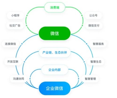 从拓客到客户精细化运营 云客赋能企业高效连接与管理升级